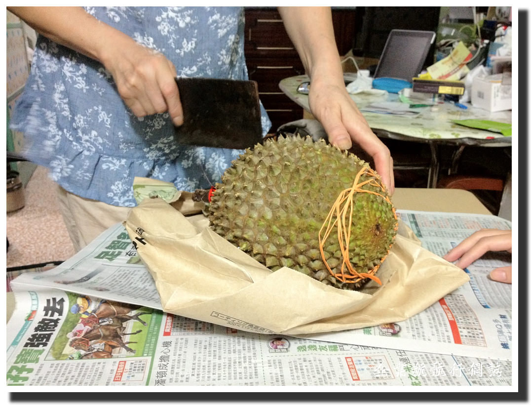 貓山皇榴槤