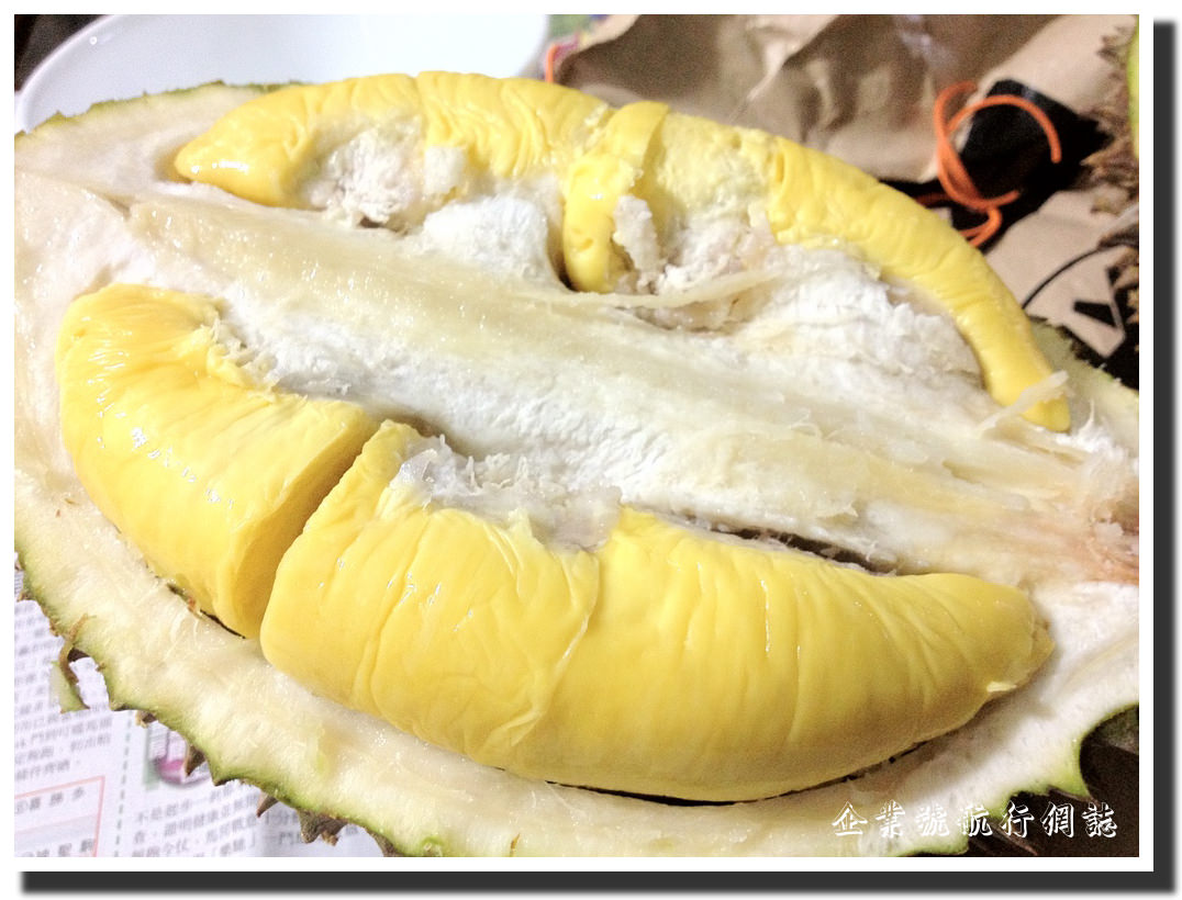 貓山皇榴槤