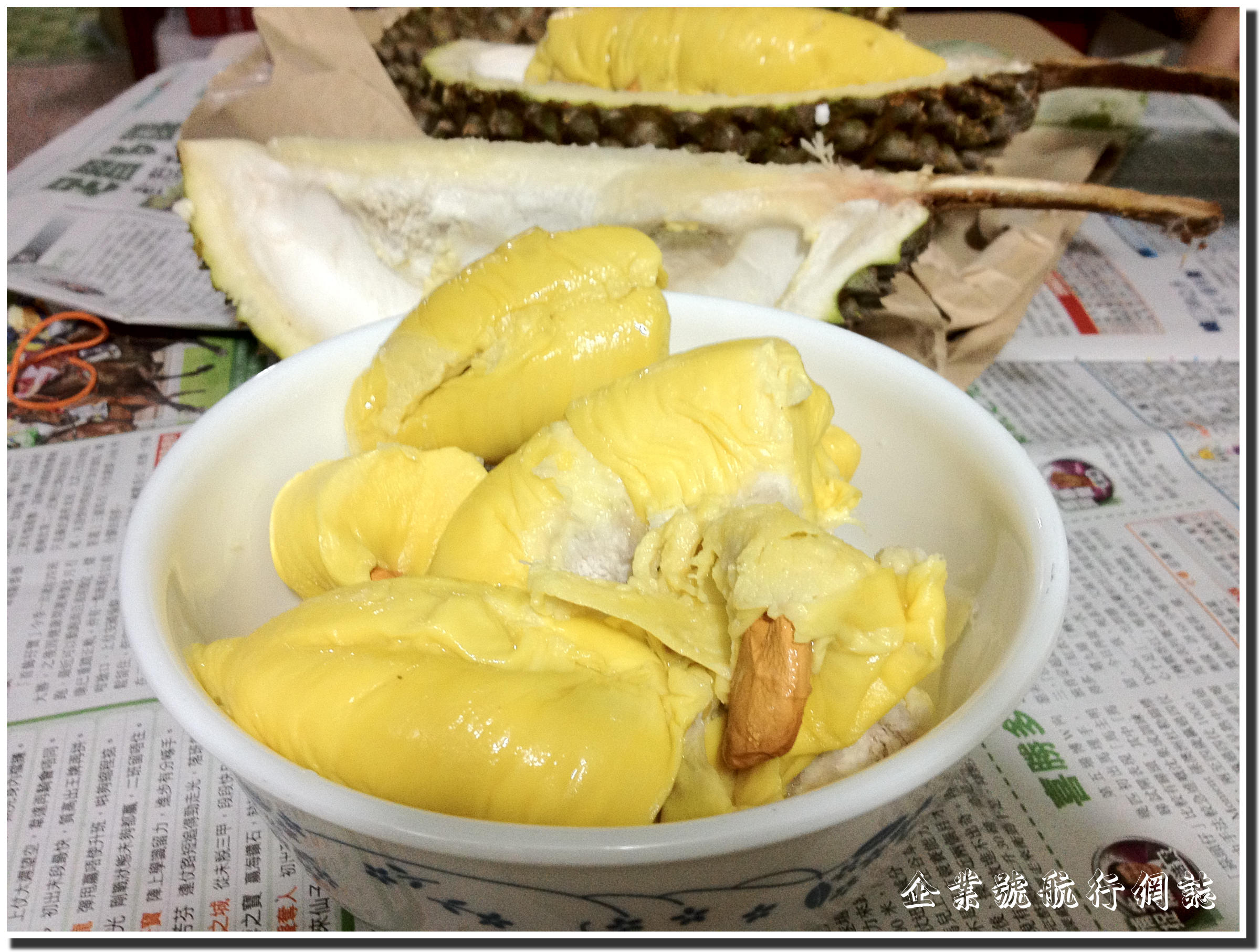 貓山皇榴槤