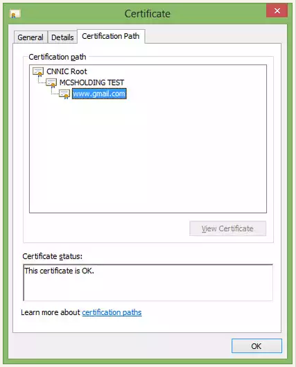 gmail fake ssl cert CNNIC