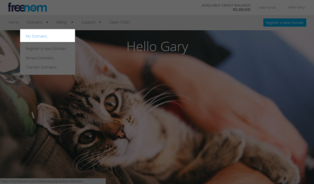 blogspot custom domain
